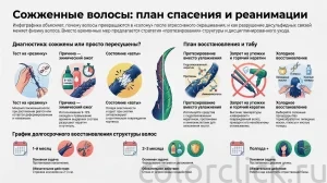 Сожженные волосы после окрашивания: как спасти длину и не сделать хуже