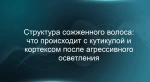 Структура сожженного волоса: что происходит с кутикулой и кортексом после агрессивного осветления